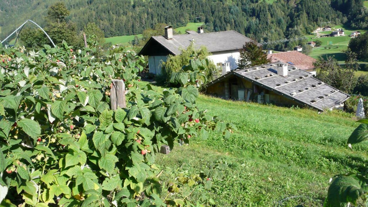 Obergereuth Hof 1288 San Martino In Passiria (Trentino Alto Adige) Exterior foto