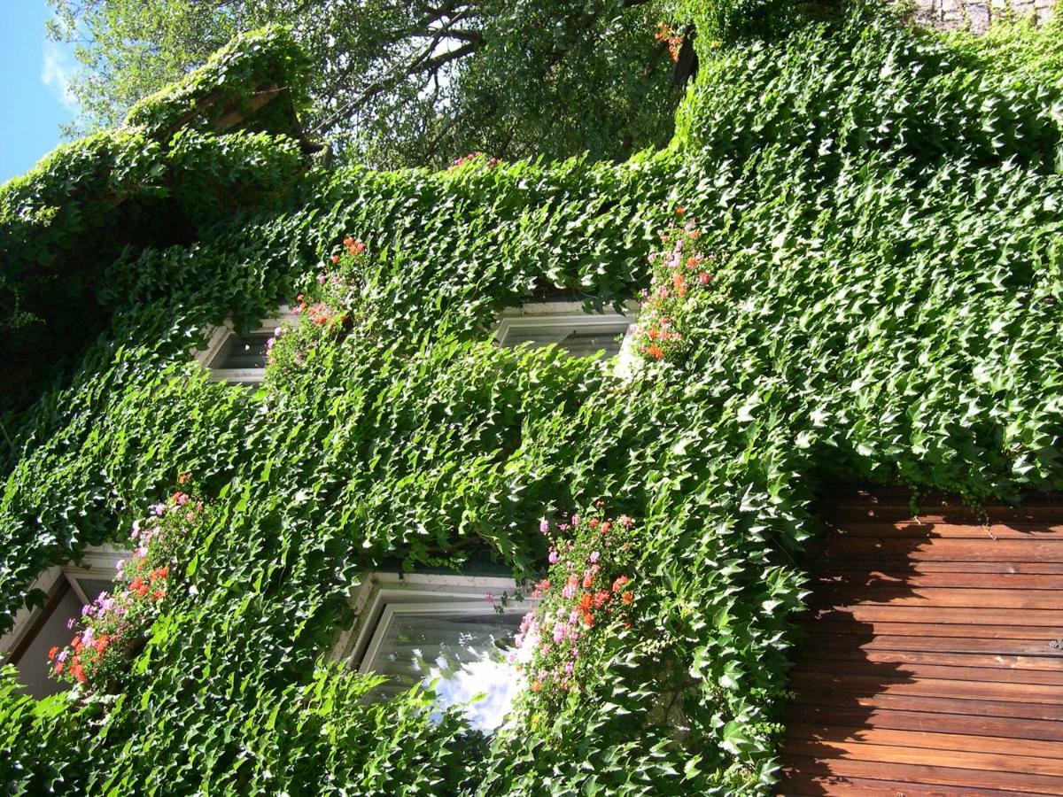 Obergereuth Hof 1288 San Martino In Passiria (Trentino Alto Adige) Exterior foto