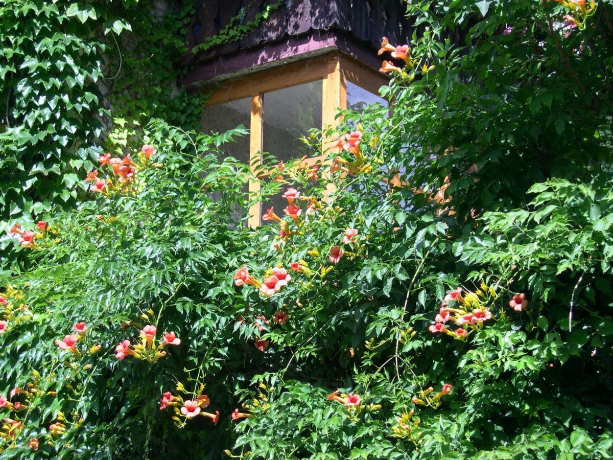 Obergereuth Hof 1288 San Martino In Passiria (Trentino Alto Adige) Exterior foto